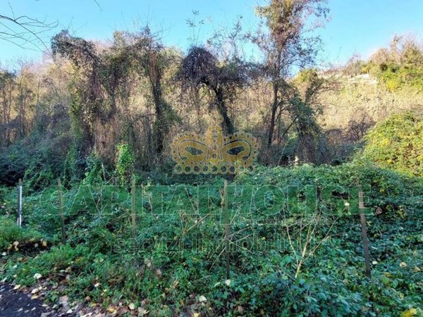 terreno agricolo in vendita ad Ottaviano
