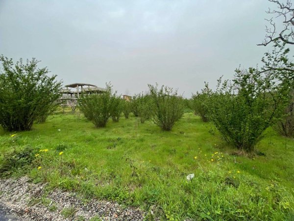 terreno agricolo in vendita ad Ottaviano