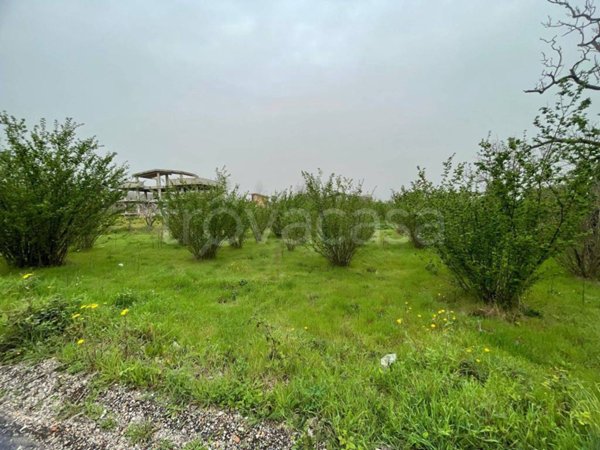terreno agricolo in vendita ad Ottaviano