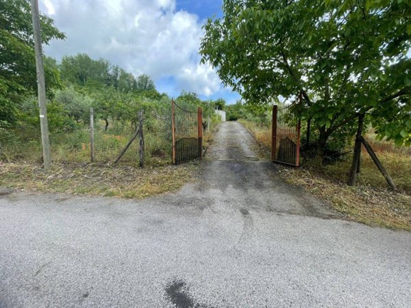 terreno agricolo in vendita ad Ottaviano