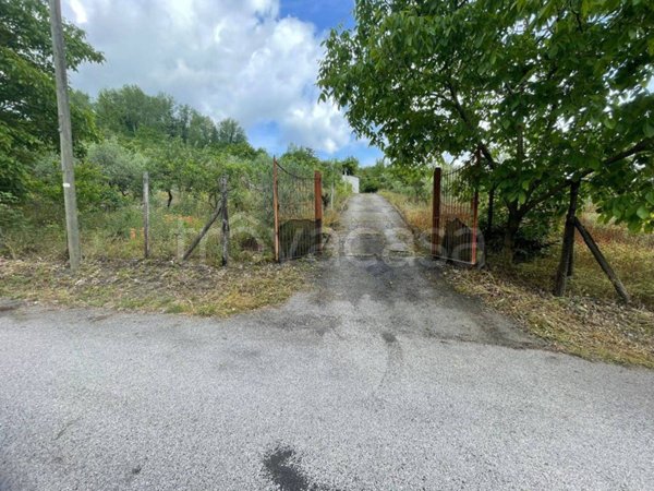 terreno agricolo in vendita ad Ottaviano