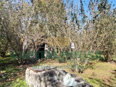 terreno agricolo in vendita ad Ottaviano