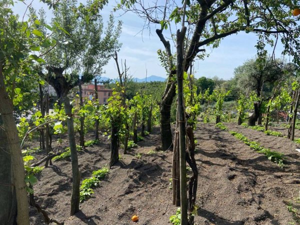 casa indipendente in vendita ad Ottaviano