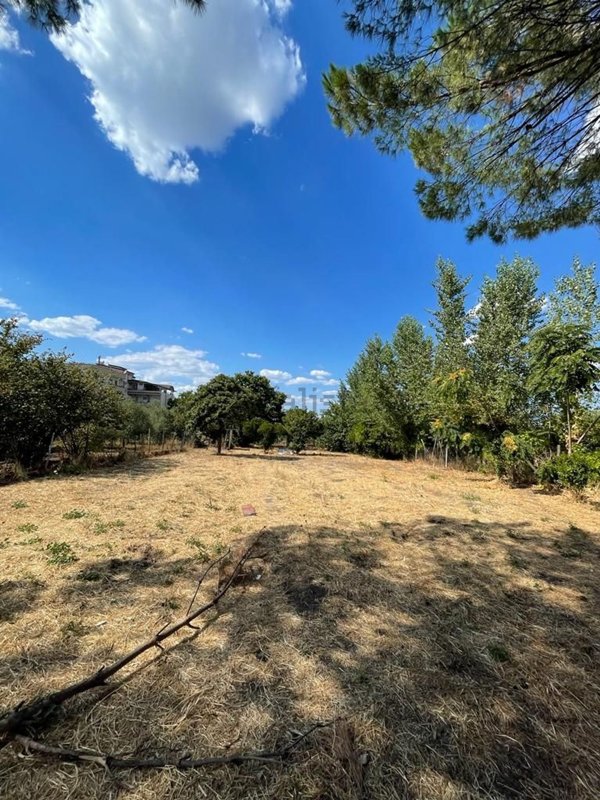 terreno agricolo in vendita ad Ottaviano