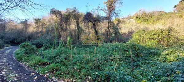 terreno agricolo in vendita ad Ottaviano