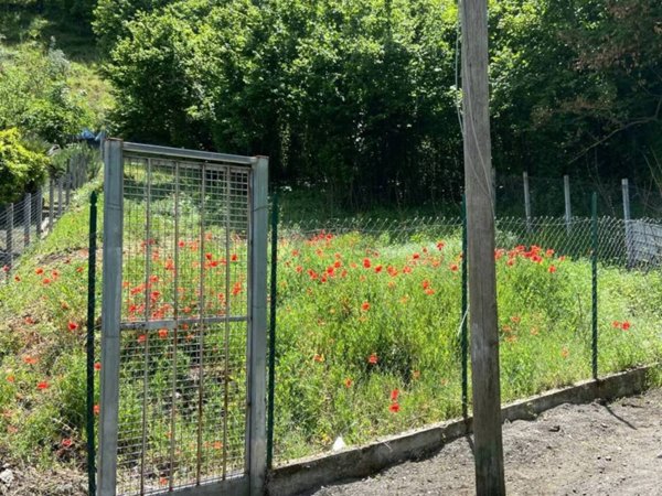 terreno agricolo in vendita ad Ottaviano