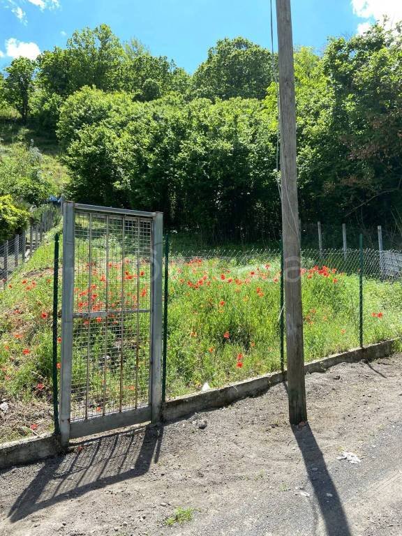 terreno agricolo in vendita ad Ottaviano