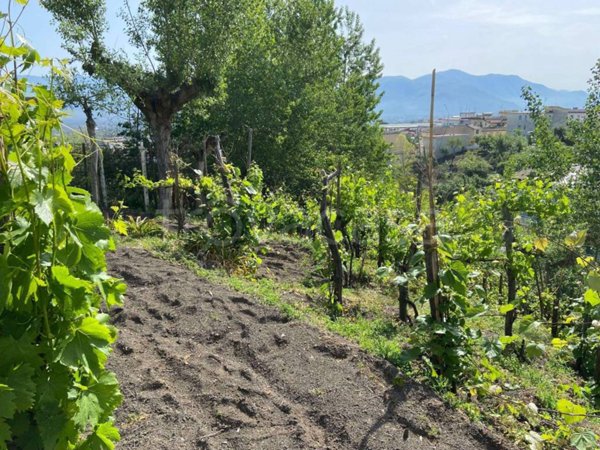 ufficio in vendita ad Ottaviano