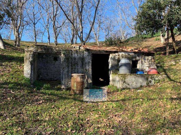 terreno agricolo in vendita ad Ottaviano