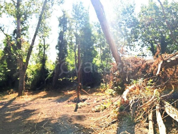 terreno agricolo in vendita ad Ottaviano