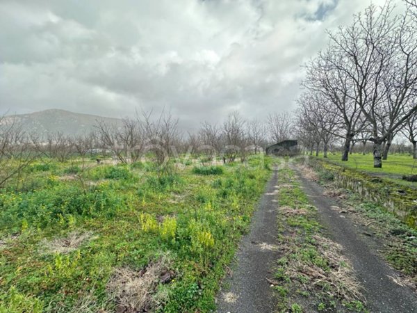 terreno agricolo in vendita a Palma Campania in zona Vico