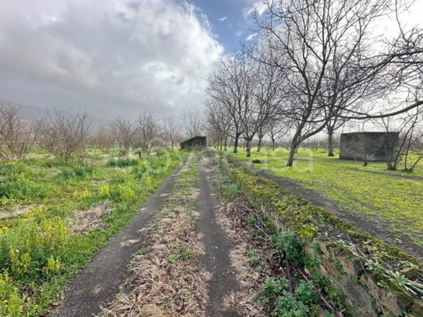 terreno agricolo in vendita a Palma Campania in zona Vico