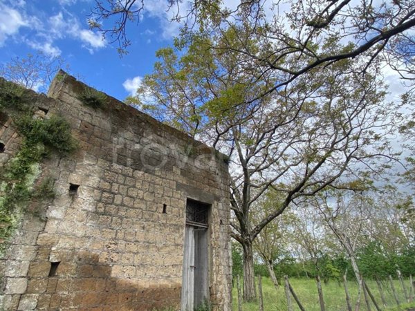 terreno agricolo in vendita a Palma Campania in zona Vico