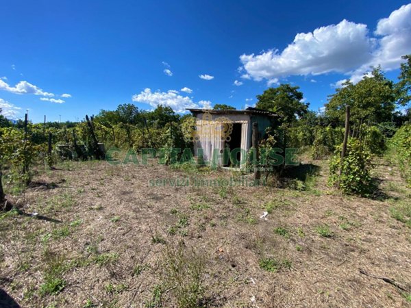 terreno agricolo in vendita a Palma Campania in zona Vico