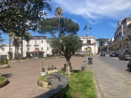 appartamento in vendita a Palma Campania in zona Vico