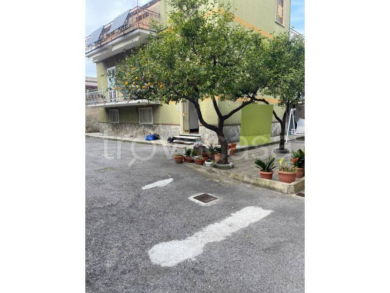 casa indipendente in vendita a Palma Campania in zona Vico