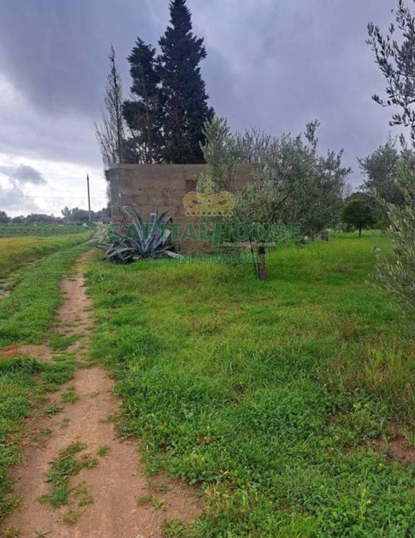 terreno agricolo in vendita a Palma Campania in zona Vico