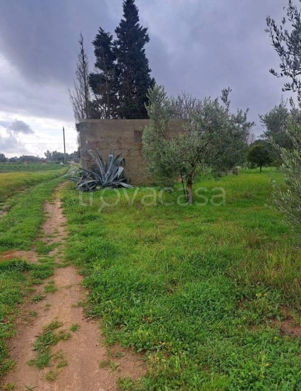 terreno agricolo in vendita a Palma Campania in zona Vico