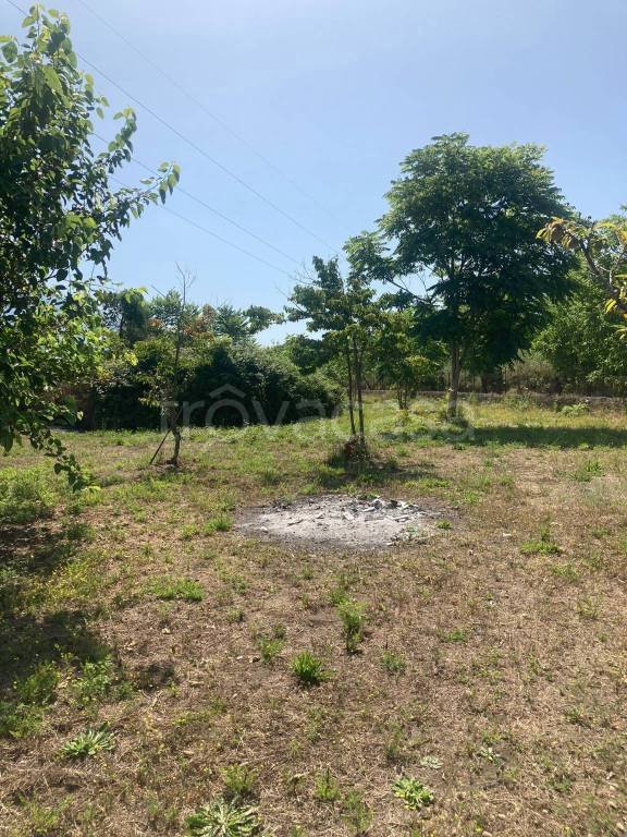 terreno agricolo in vendita a Palma Campania