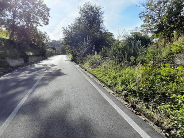 terreno agricolo in vendita a Palma Campania in zona Vico