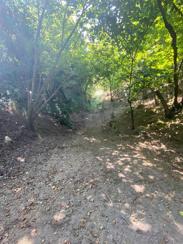 terreno agricolo in vendita a Palma Campania in zona Vico