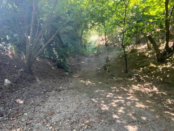 terreno agricolo in vendita a Palma Campania