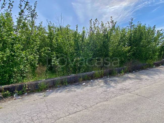 terreno agricolo in vendita a Palma Campania in zona Vico