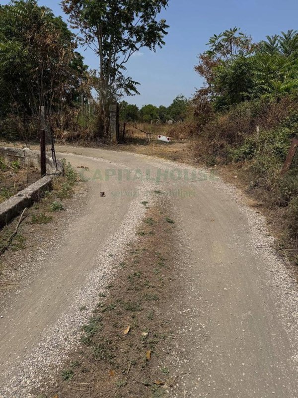 terreno agricolo in vendita a Palma Campania in zona Vico