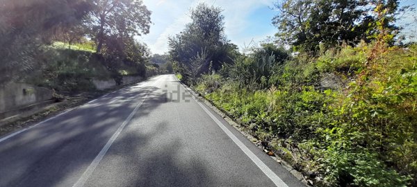 terreno agricolo in vendita a Palma Campania