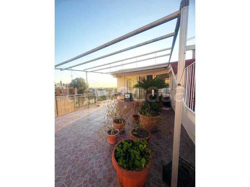 appartamento in vendita a Palma Campania in zona Vico