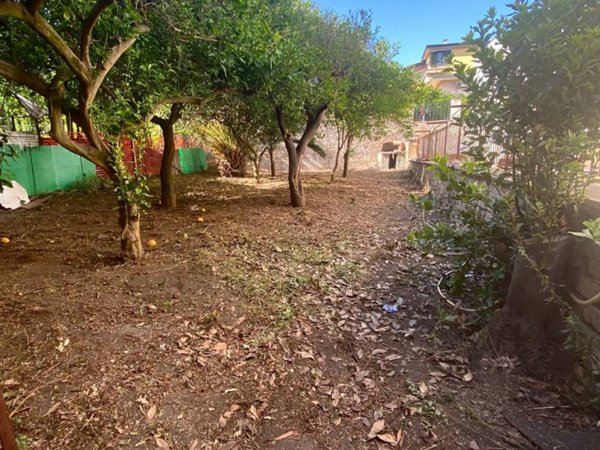 appartamento in vendita a Palma Campania