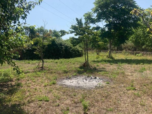 terreno agricolo in vendita a Palma Campania