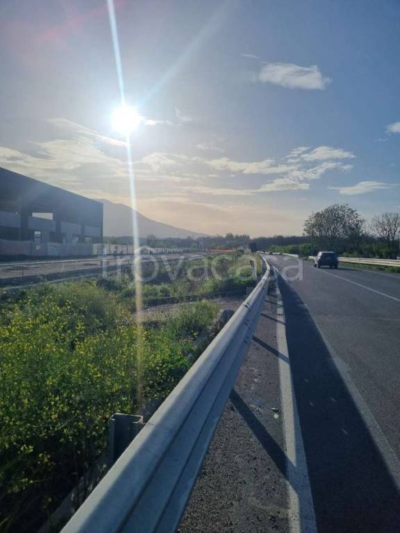 terreno agricolo in vendita a Palma Campania in zona Vico