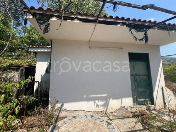 casa indipendente in vendita a Palma Campania