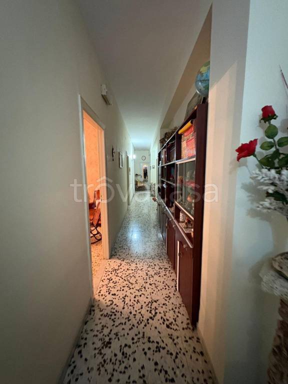 appartamento in vendita a Palma Campania in zona Ciccarelli