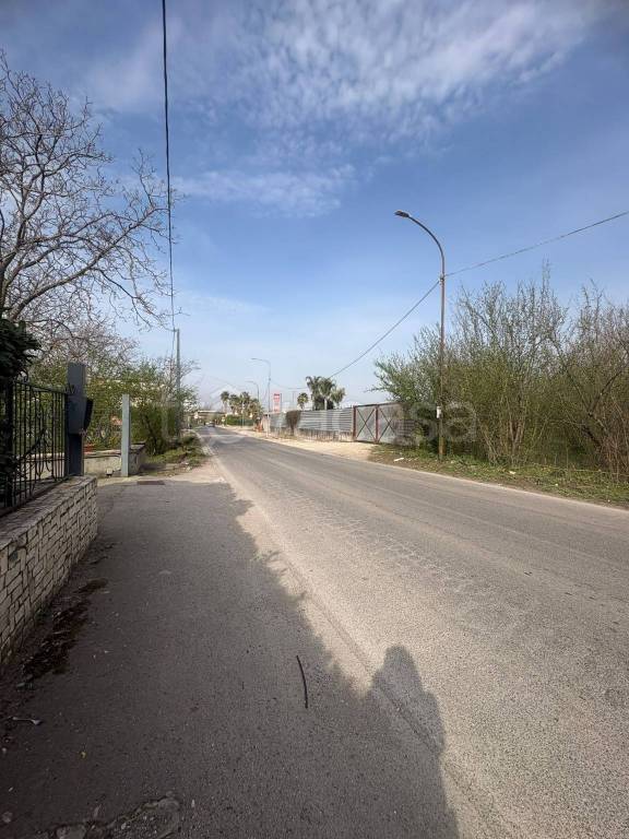 terreno agricolo in vendita a Palma Campania in zona Vico