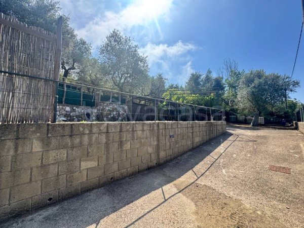 terreno agricolo in vendita a Piano di Sorrento