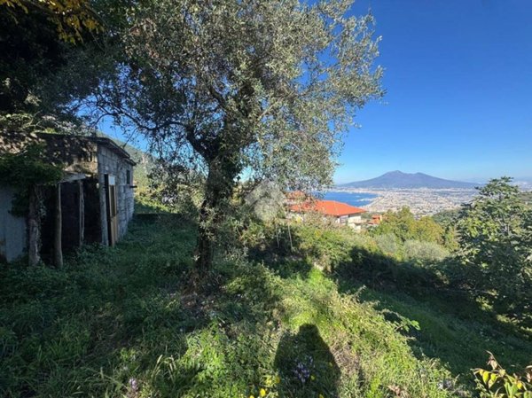 terreno agricolo in vendita a Pimonte