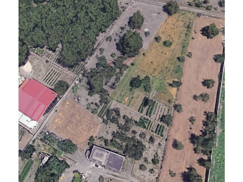 terreno agricolo in vendita a Poggiomarino