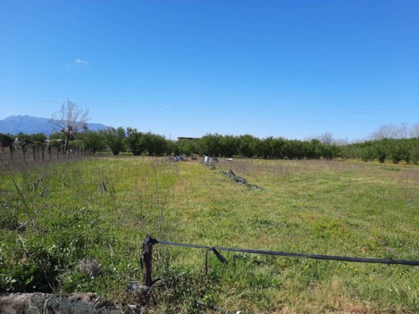 terreno agricolo in vendita a Poggiomarino