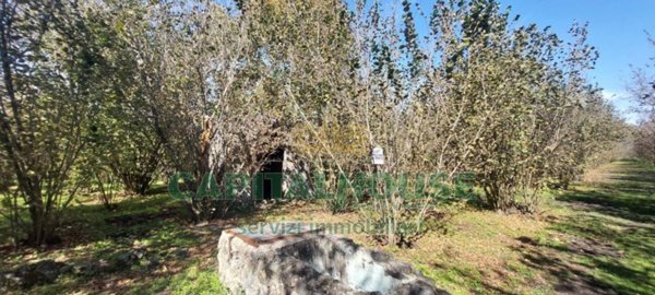 terreno agricolo in vendita a Poggiomarino