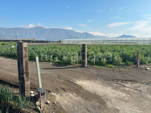 terreno agricolo in vendita a Poggiomarino