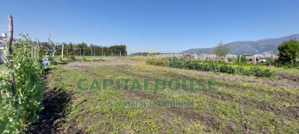 terreno agricolo in vendita a Poggiomarino