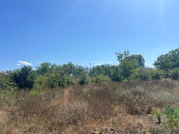 terreno agricolo in vendita a Poggiomarino