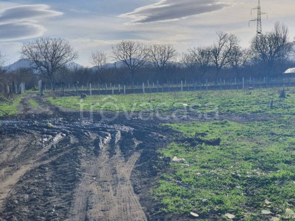 terreno agricolo in vendita a Poggiomarino