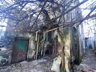 immagine annuncio 0 di 8