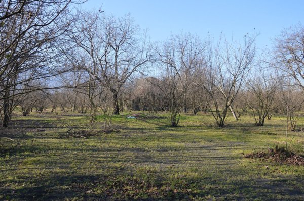 terreno in vendita a Poggiomarino