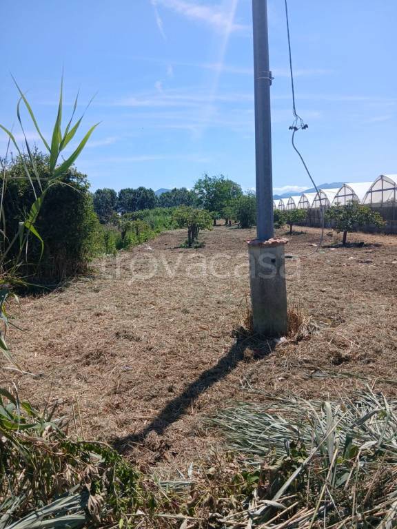 terreno agricolo in vendita a Poggiomarino