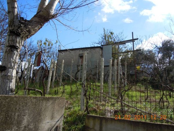 terreno agricolo in vendita a Pollena Trocchia