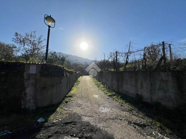 terreno agricolo in vendita a Pollena Trocchia